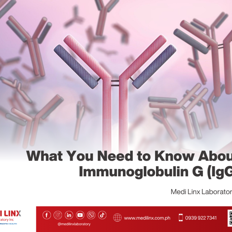 Immunoglobulin G (IgG)