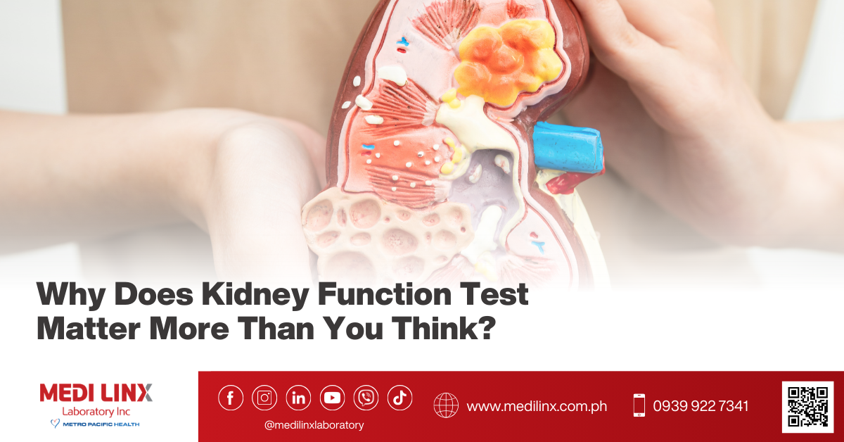 kidney fuction test