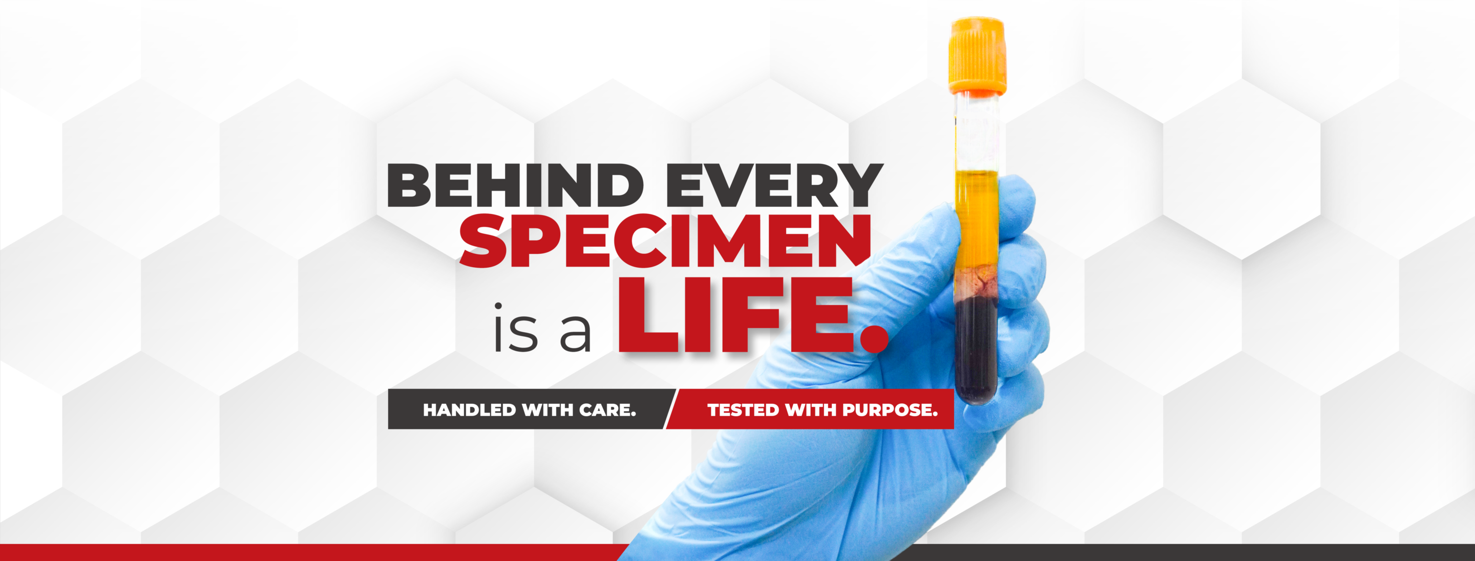 Campaign Banner I FB